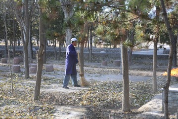 20101100 (1)
