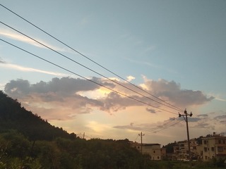 490361