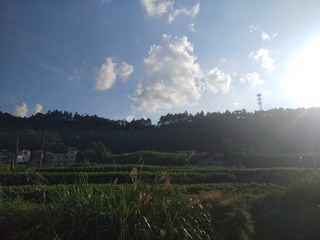 488351