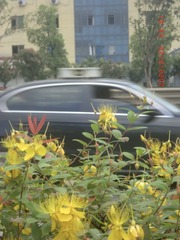 0ADD8D84-0FF7-4574-80A6-EACE19F716E0/L0/001
