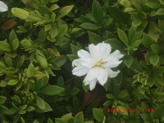 71DDD444-5CB8-4FC5-9FC4-BE0479AD1098/L0/001