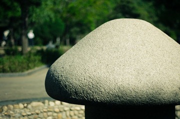 IMGP5794.jpg