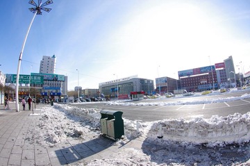 IMGP7481.jpg