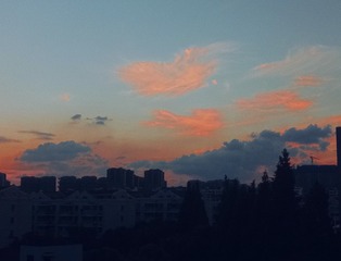 205