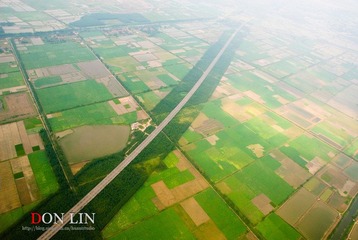 DSC_0800_LR_s DON LIN