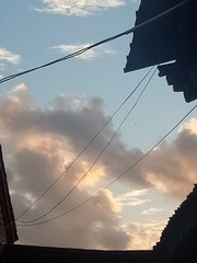 536537