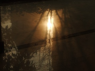 2180685