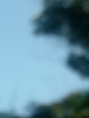 1434819