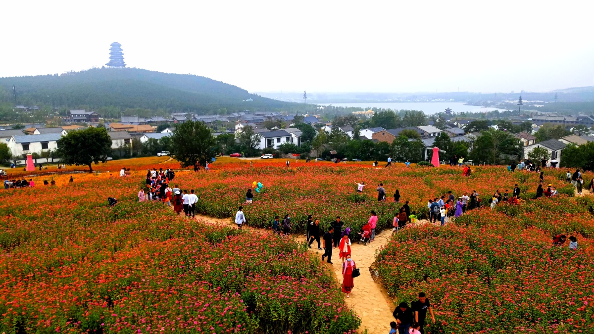 金秋十月打卡徐州吕梁花海
