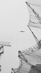 1200546