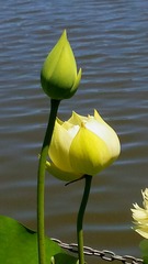 1220671