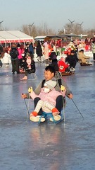 1199629