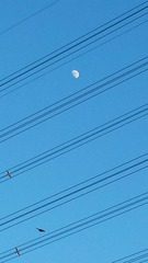 1200704
