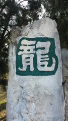 1203625