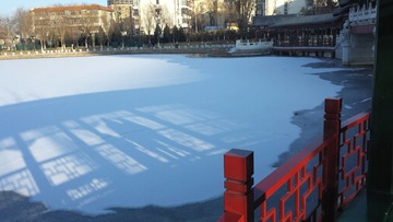 1202239