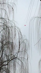 1205014