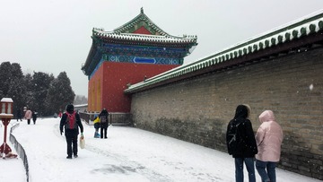 1205088