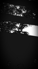 1230259