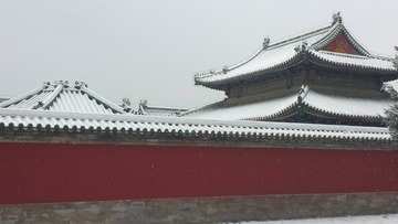 1205093