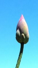 1220635