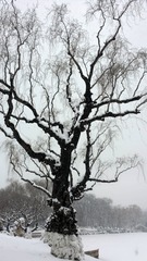 1205020