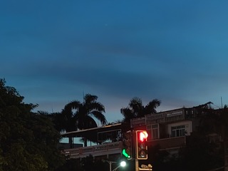 1000027317