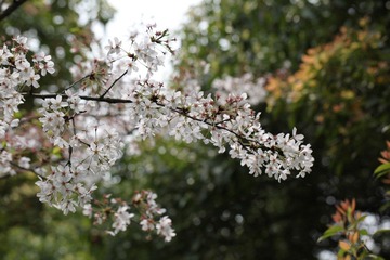 IMG_3224.JPG