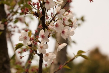 IMG_3252.JPG