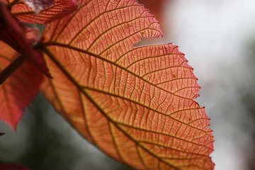 IMG_3314.JPG