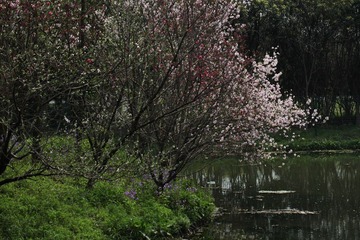 IMG_3327.JPG