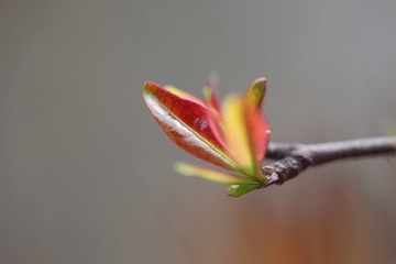 IMG_3384.JPG