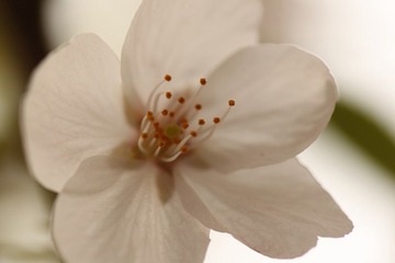 IMG_3249.JPG