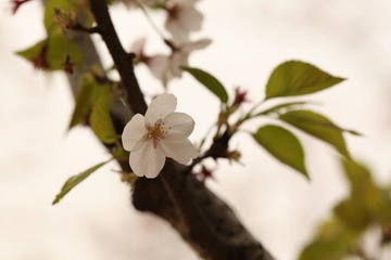IMG_3247.JPG