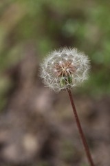 IMG_3375.JPG