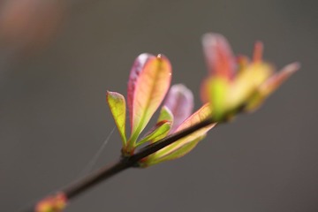 IMG_3381.JPG