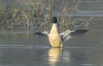 261195