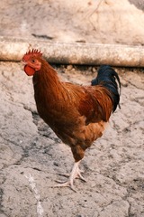 549548