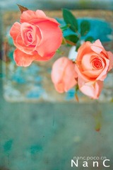 20110216-IMG_9262