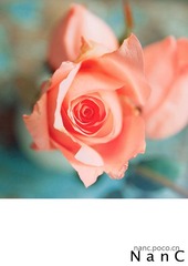 20110216-IMG_9268