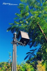 IMG_1965-1