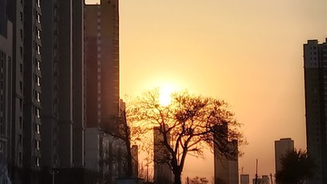 212023