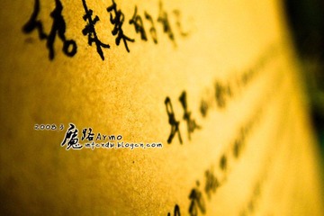 给未来的自己