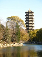 燕园9 036