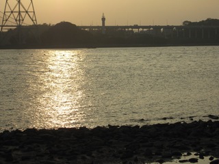 0DC7AFC1-2D0E-4C29-B6B6-C862D9320F2D/L0/001