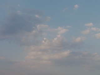 455007