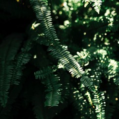 57A6328D-633E-4673-A45D-9CC0DA772E74/L0/001