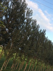 6B2B66DB-DD47-47BB-B7BF-E02A39EEF81E/L0/001