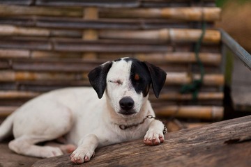 IMG_9698.jpg