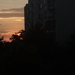 451