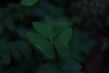 104609